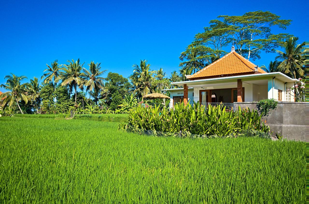 Вилла уютная Убуд 1 спальня