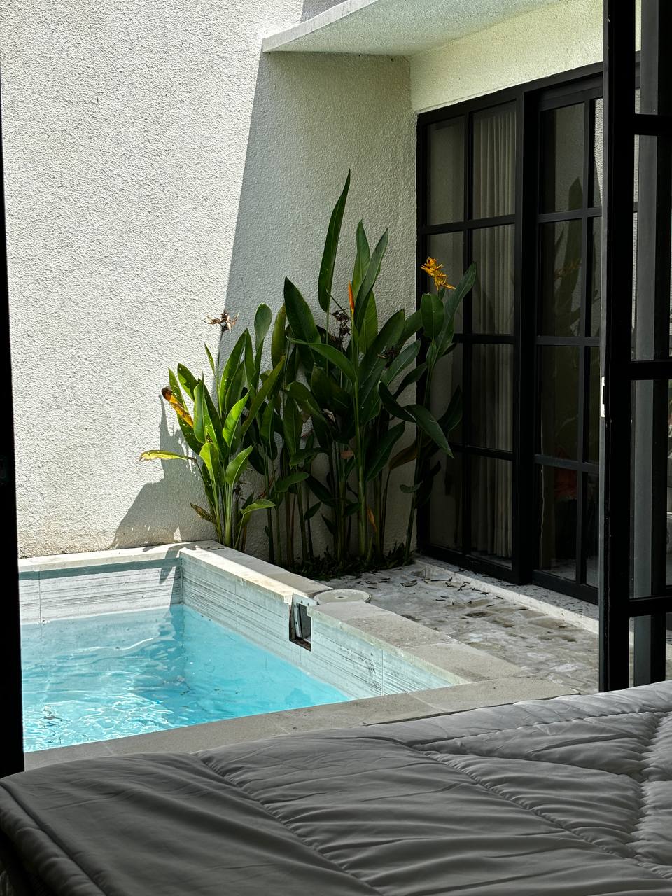 Вилла уютная Убуд 2 спальни