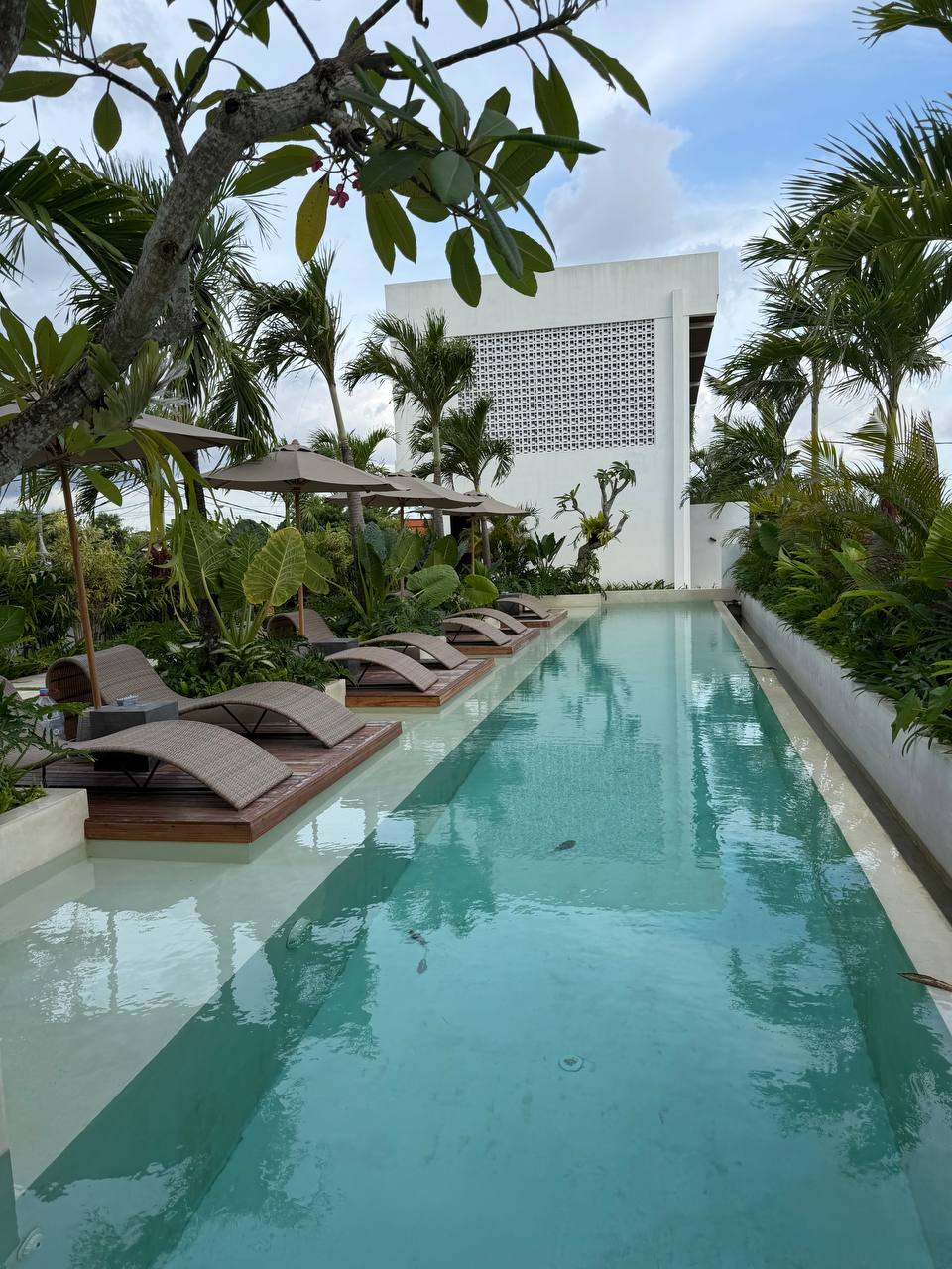 Апартаменты уютные Мунггу