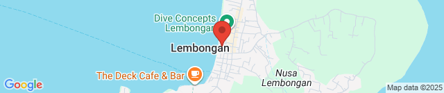 Пушистое открытие на Нуса Лембонган: рай для любителей кошек и не только!