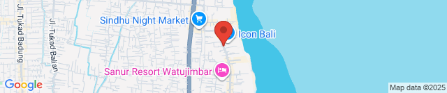 SKECHERS SANUR ICON BALI