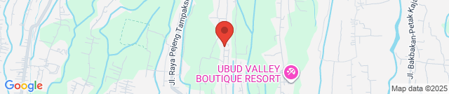 Вилла современная Убуд 2 спальни