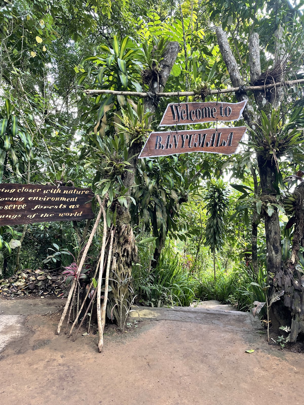 Водопады Banyumala Twin