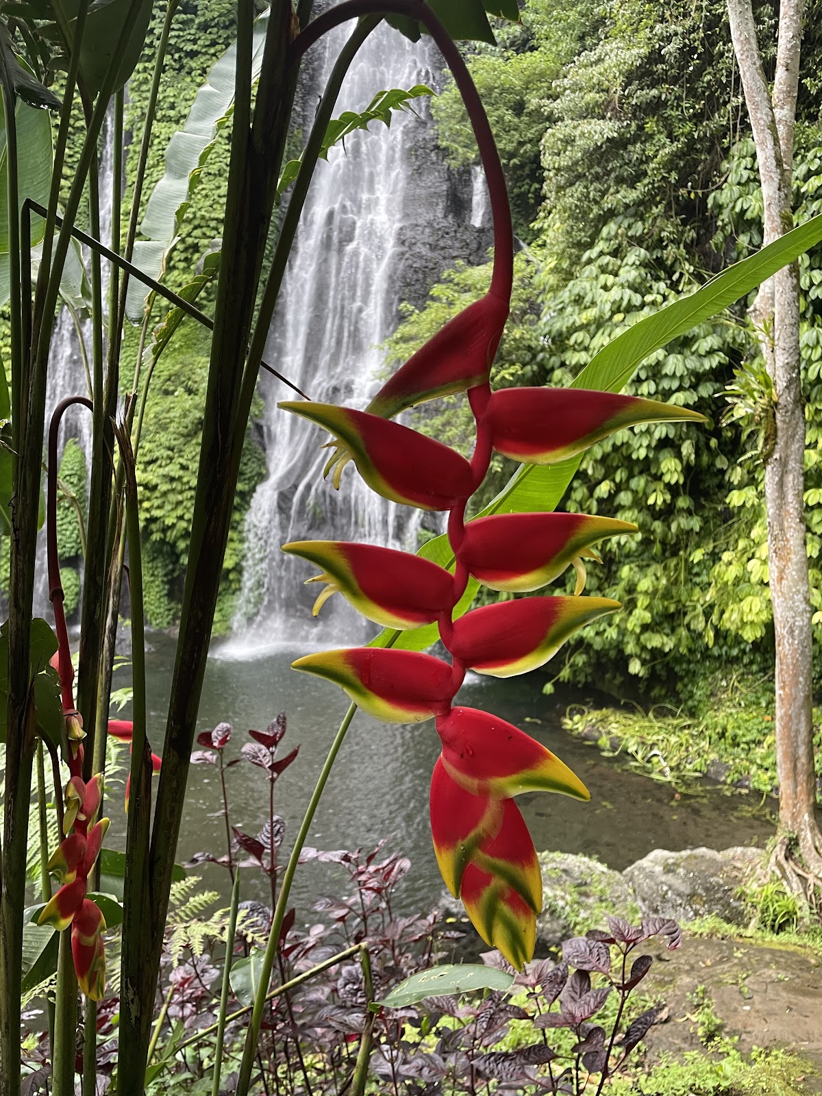 Водопады Banyumala Twin