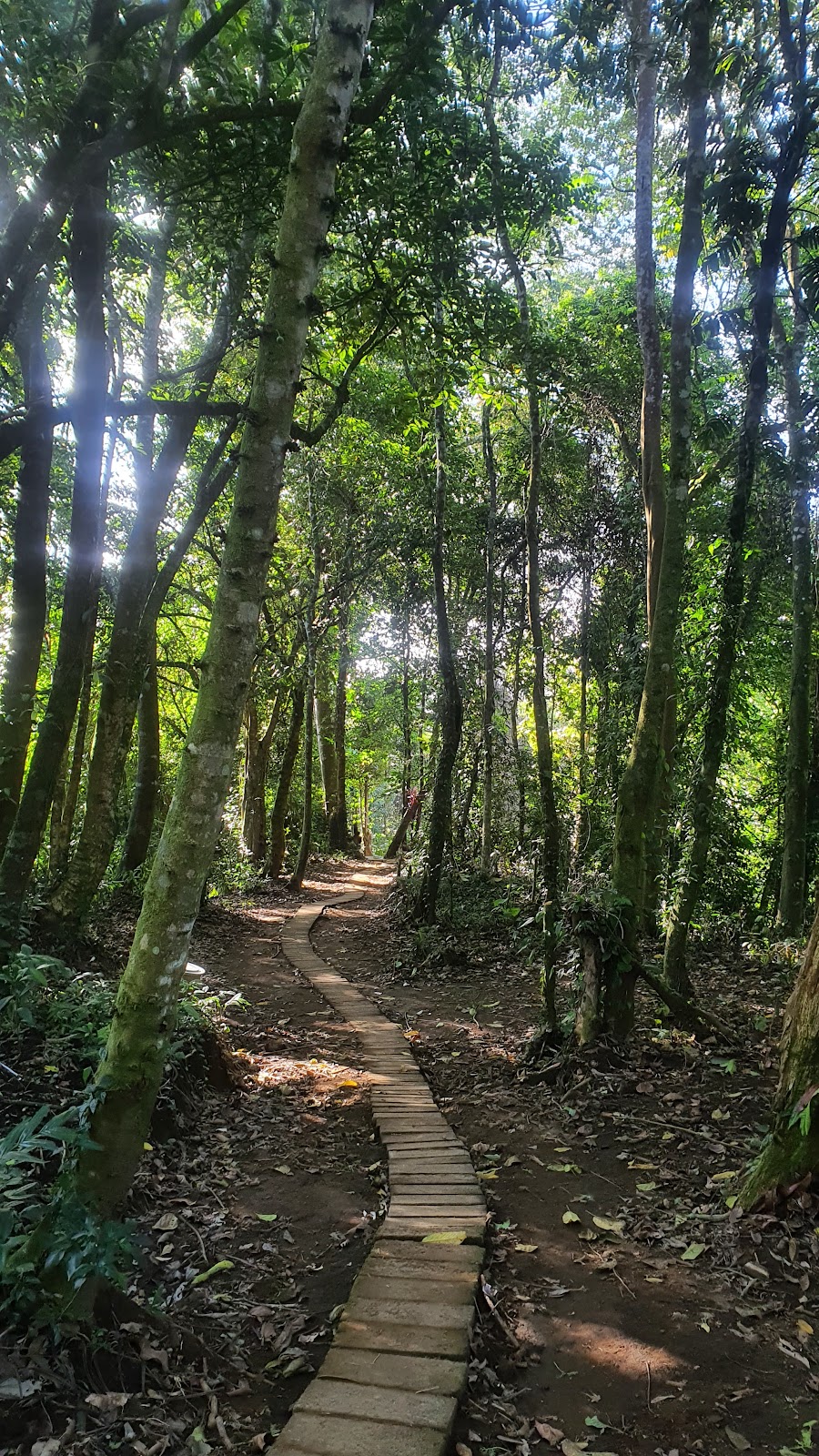 Водопад Banyu Wana Amertha