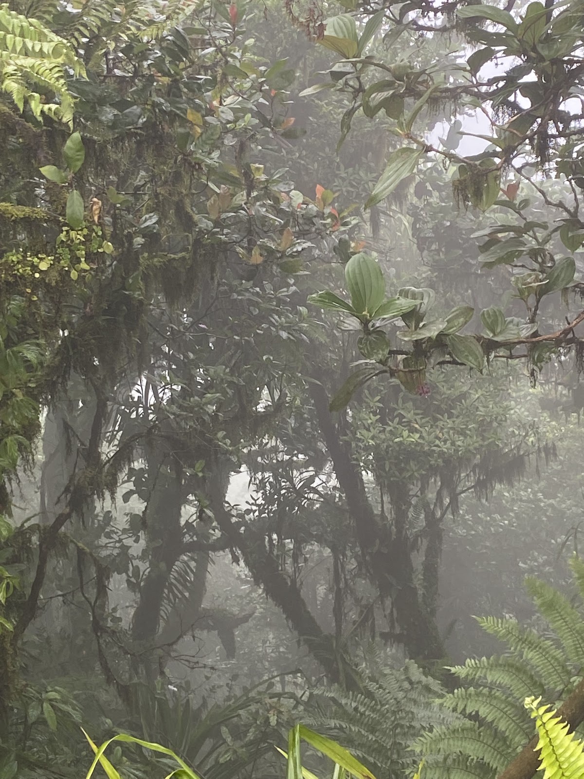 Храм Pura Pasar Agung Lempuyang