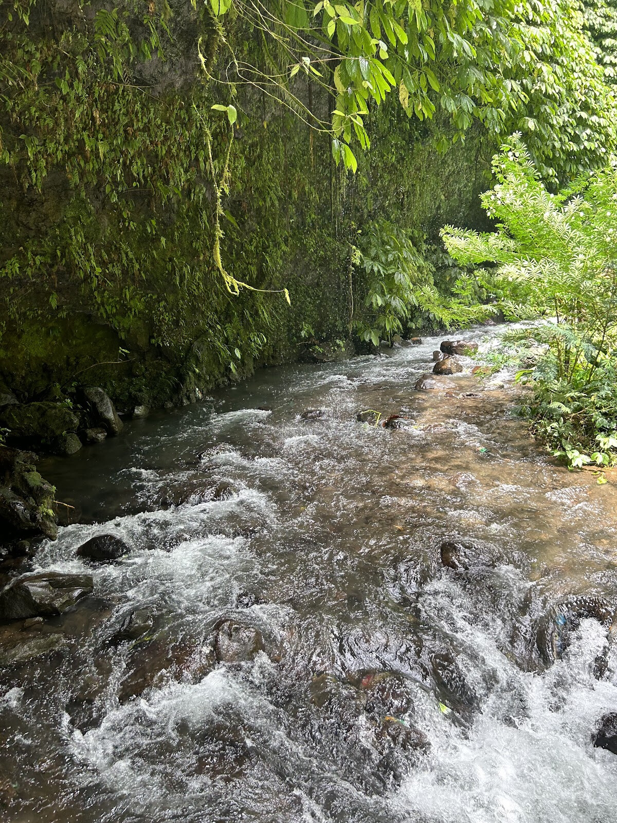 Водопад Fiji