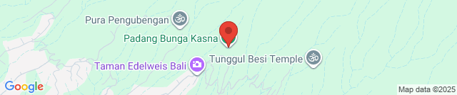 Цветочные плантации Desa Temukus