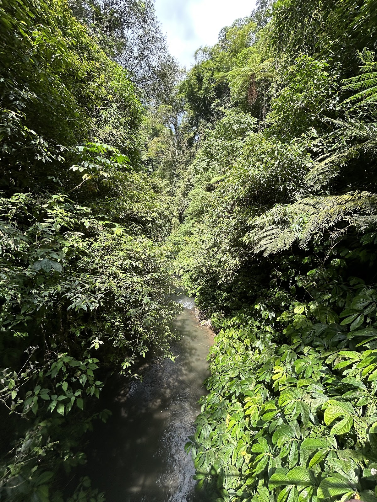 Водопад Nungnung