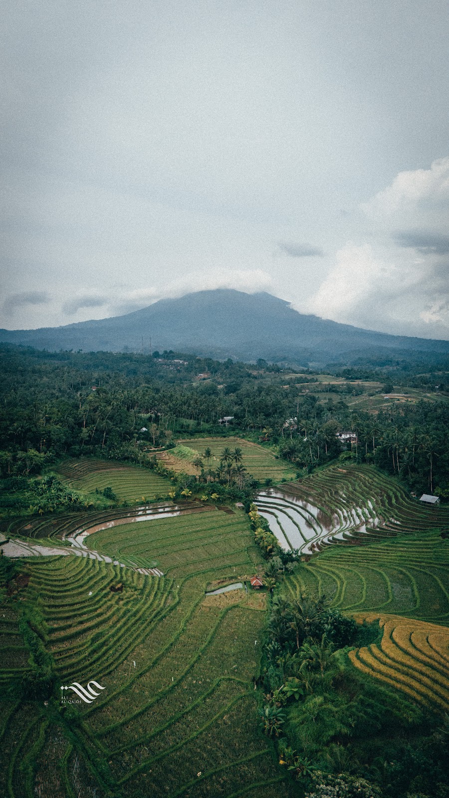Belimbing Rice Terraces