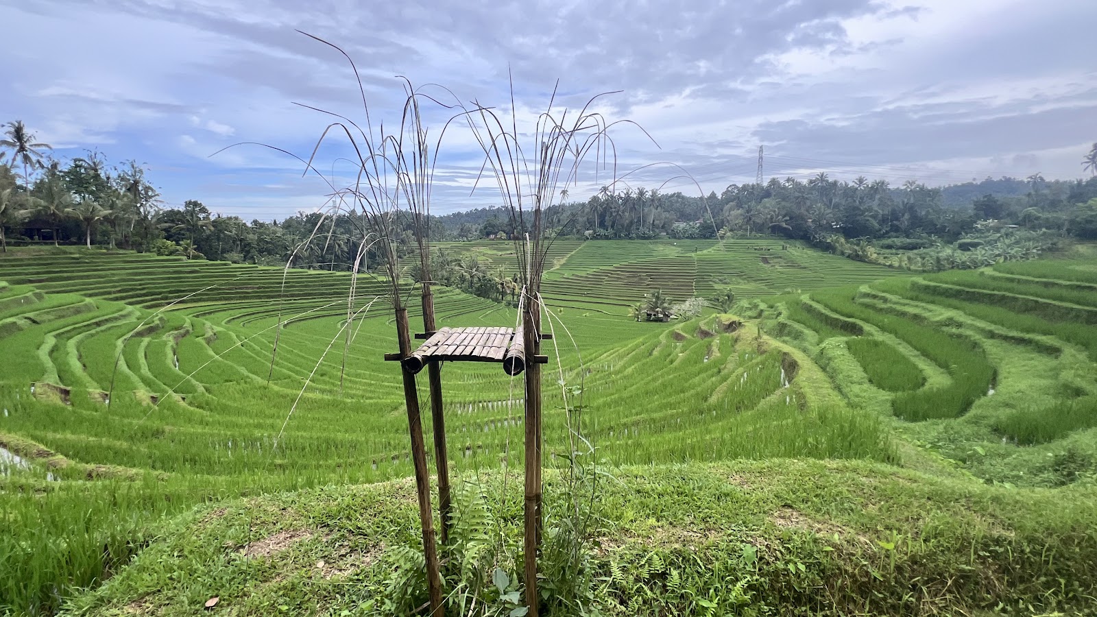 Belimbing Rice Terraces