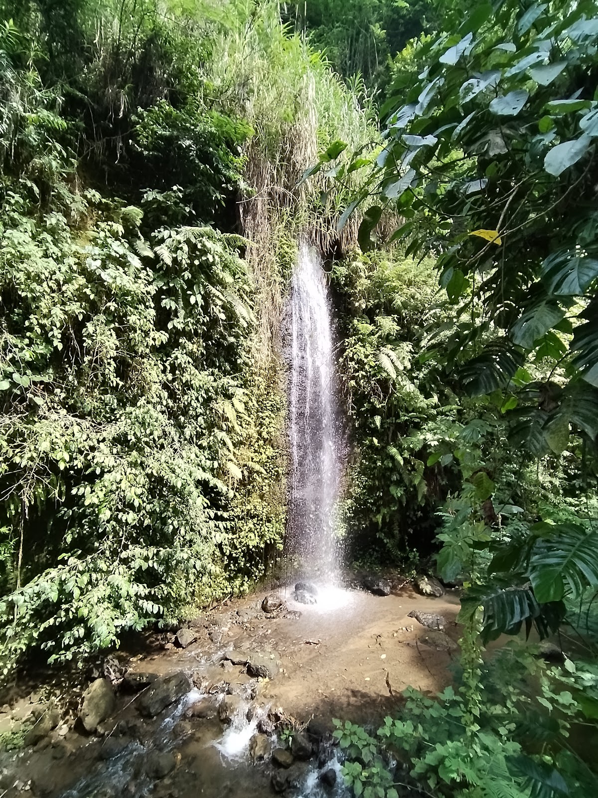 Goa Rajo Waterfall