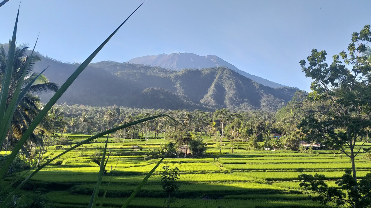 Sibetan Rice Terrace