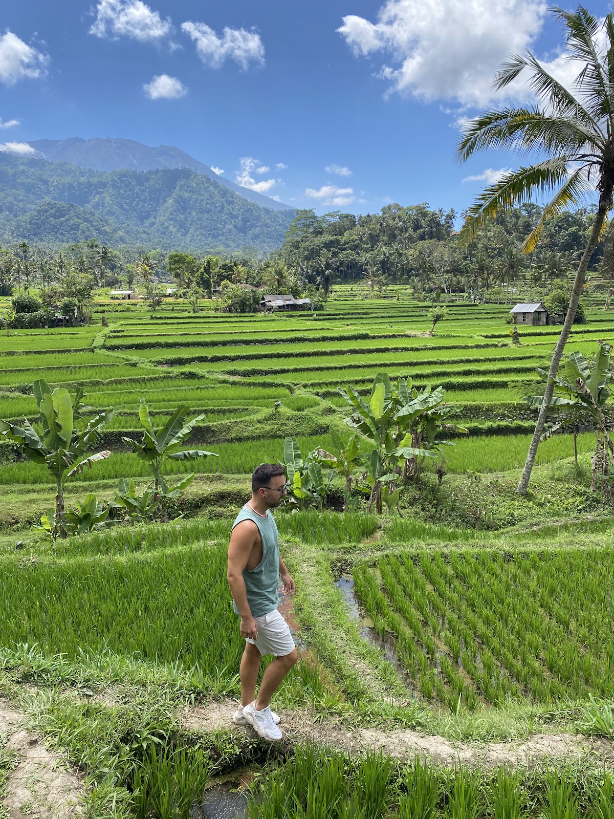 Sibetan Rice Terrace