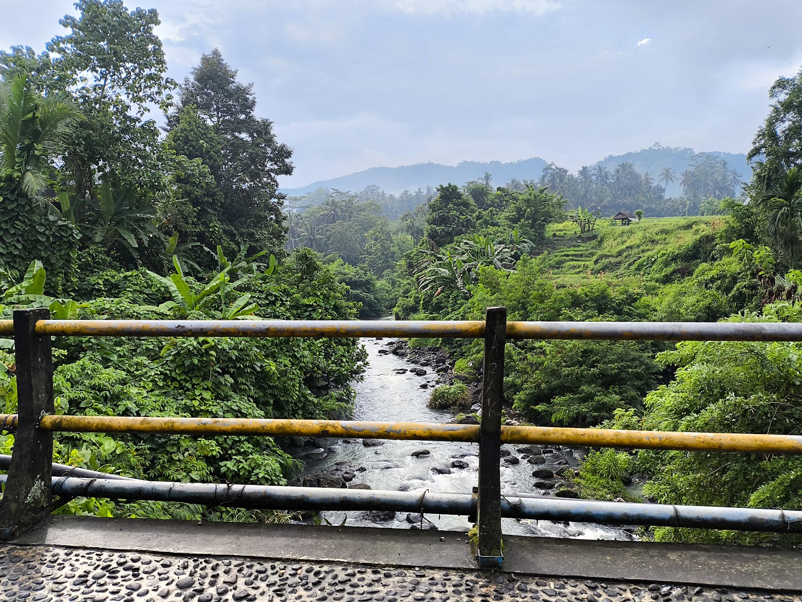 Sibetan Rice Terrace