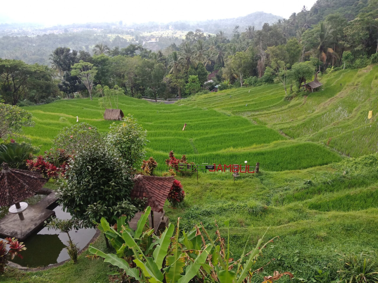 Bukit Jambul
