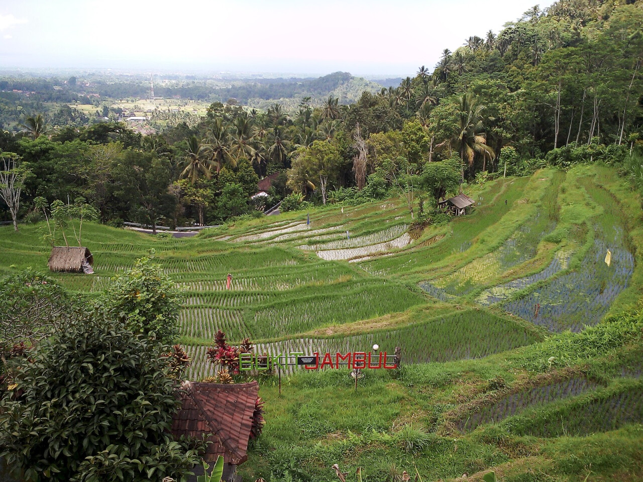 Bukit Jambul