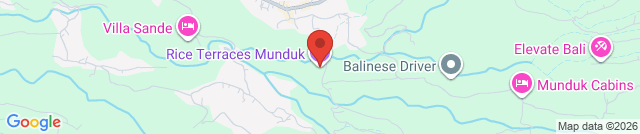 Рисовые террасы Munduk