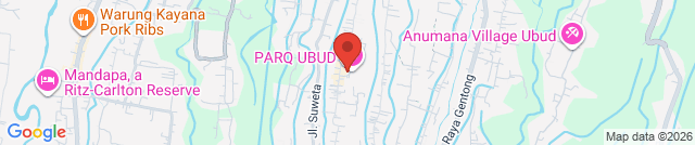 KIDFORT Indoor Playground & Children's party