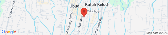 Wild Vegan, Vegan and Vegetarian Organic Restaurant