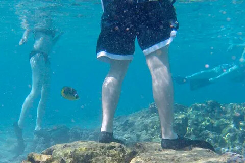 Красота, которую ломают ногами: Амед теряет живые кораллы