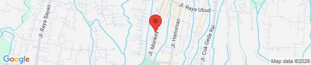 Starbucks Monkey Forest