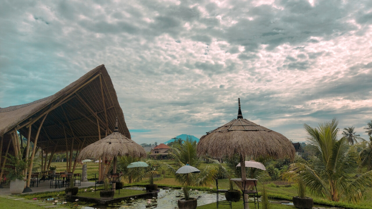 Bamboo Kitchen