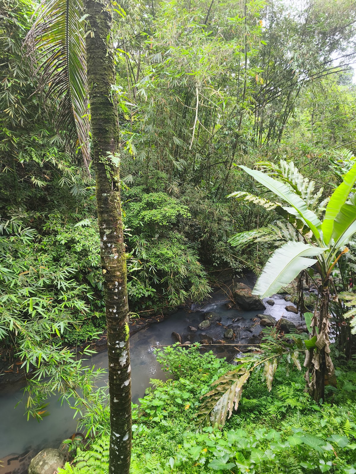 Tibu Sampi Waterfall
