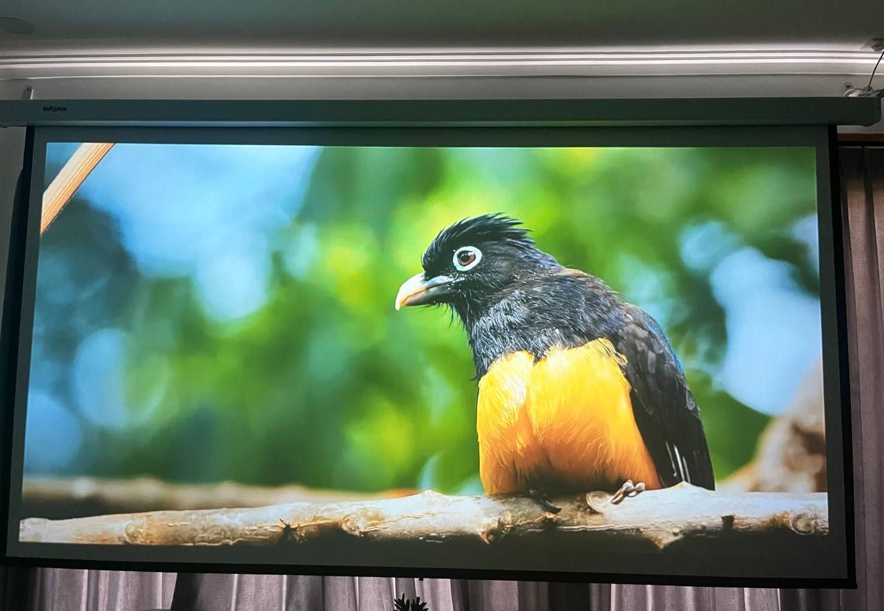 Апартаменты комфортные Пандава