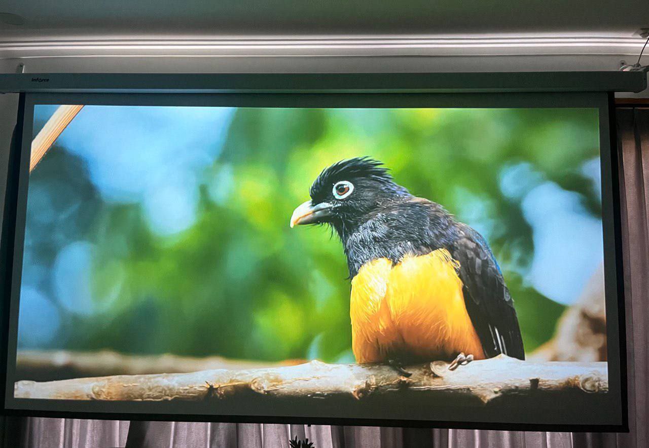 Апартаменты современные Чангу 2 спальни