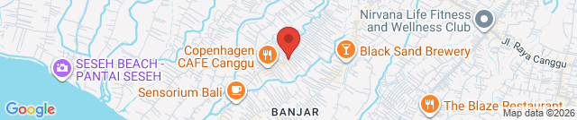 RICE WARUNG YASA CANGGU