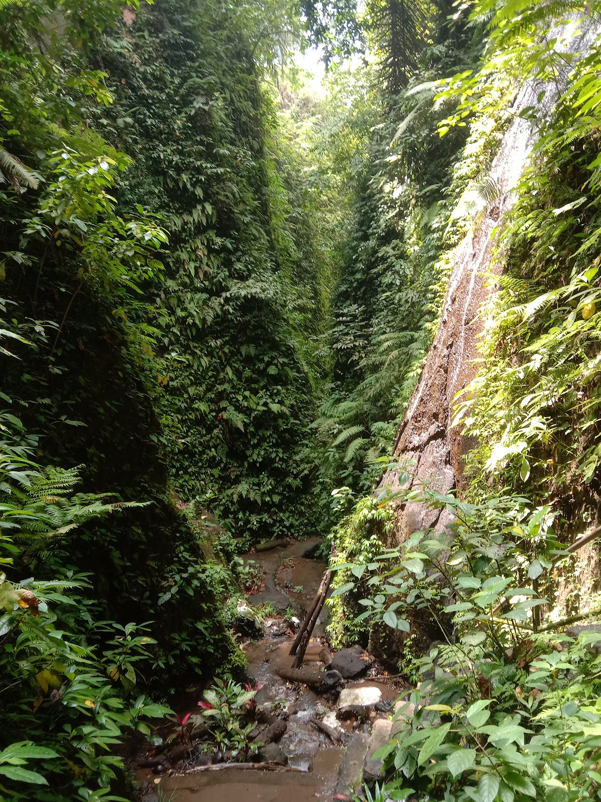 Aan Secret Waterfall