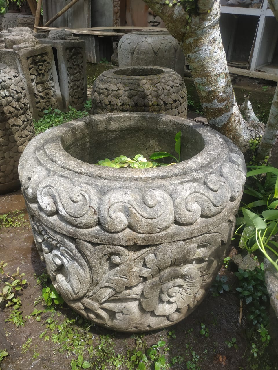 Магазин Роте Адхи (Rote Adhi)