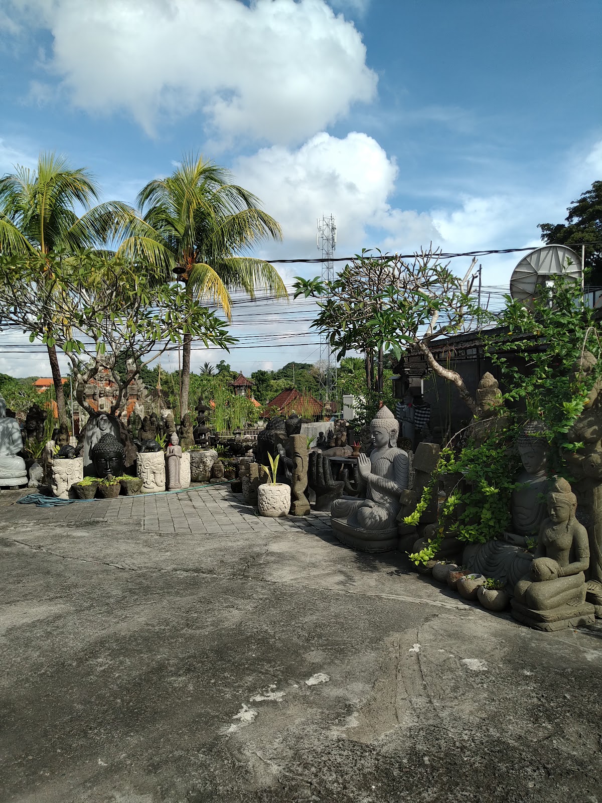 Магазин Роте Адхи (Rote Adhi)