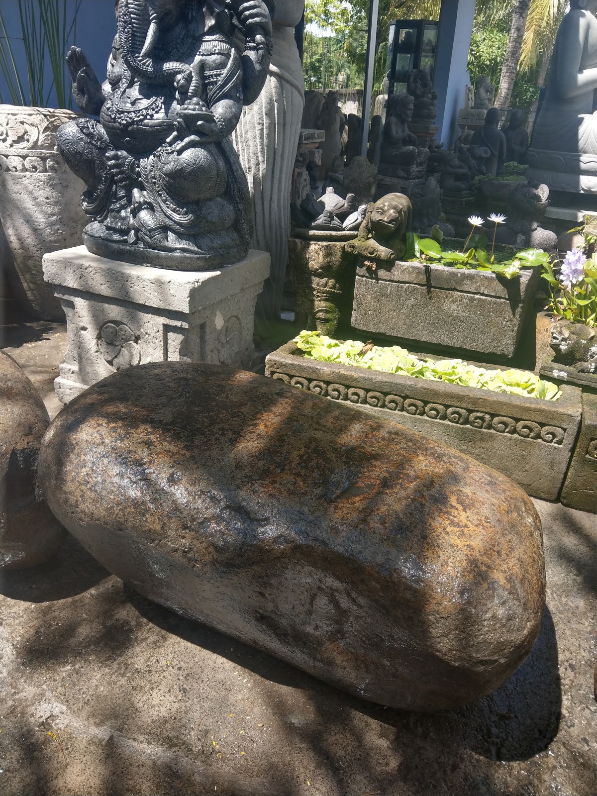 Магазин Роте Адхи (Rote Adhi)