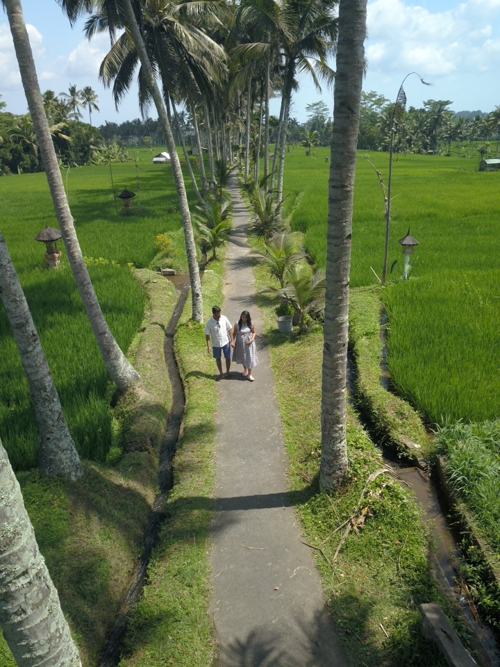 Mancingan Rice Terrace Bali