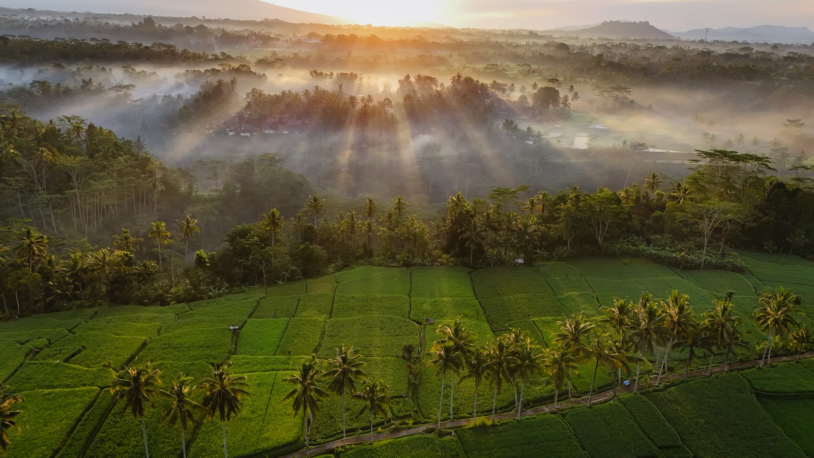 Mancingan Rice Terrace Bali