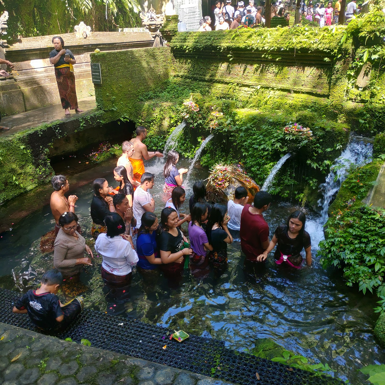 Mancingan Rice Terrace Bali