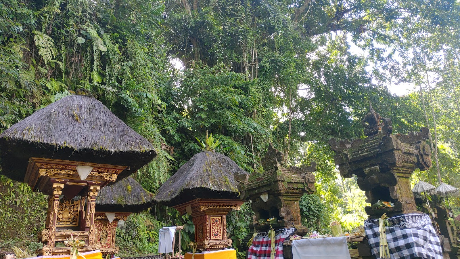 Mancingan Rice Terrace Bali