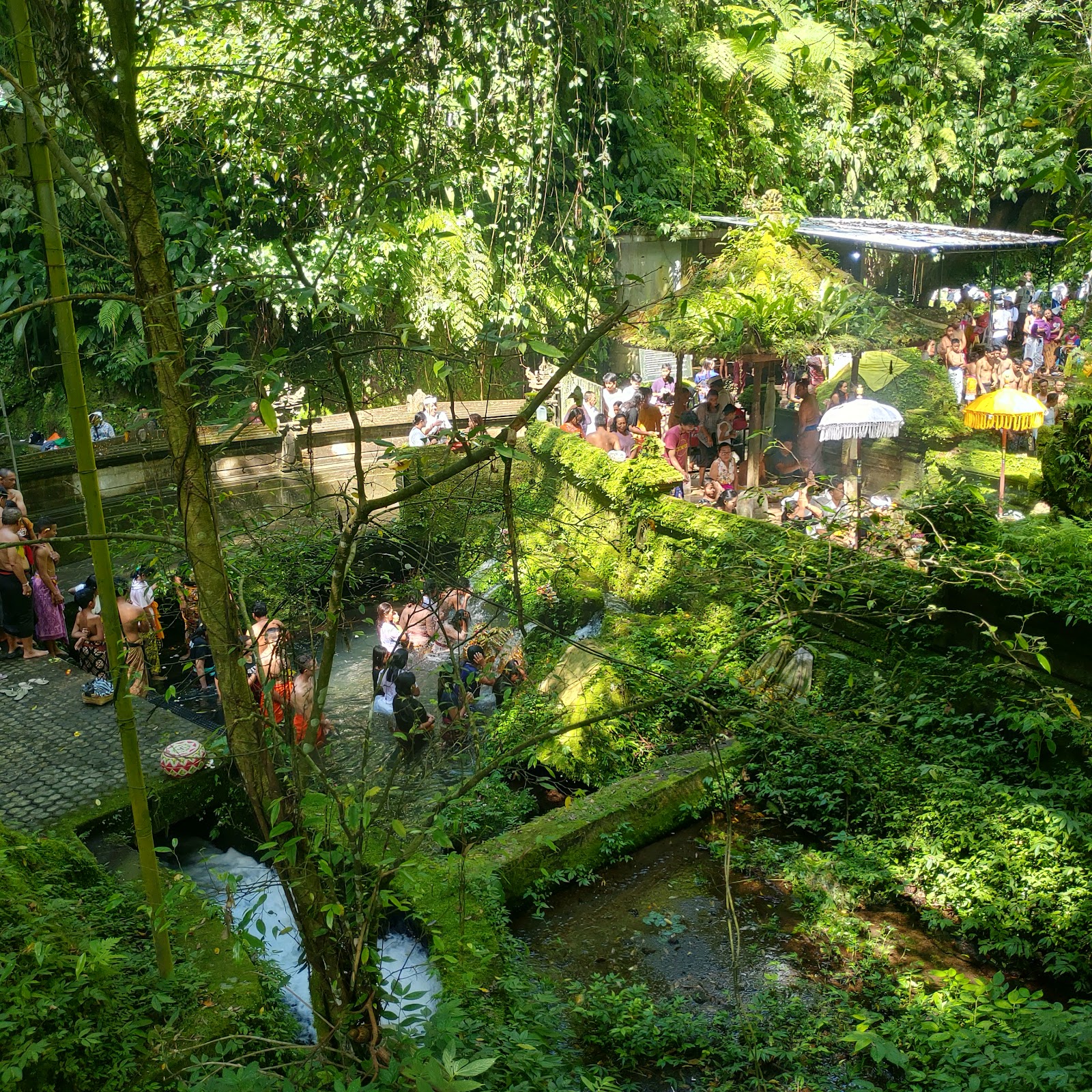 Mancingan Rice Terrace Bali