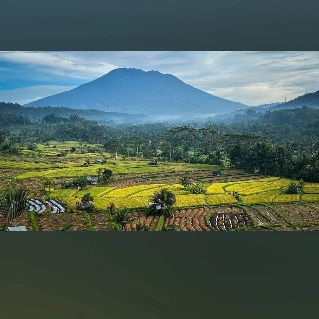 SIDEMEN RICE TERRACE