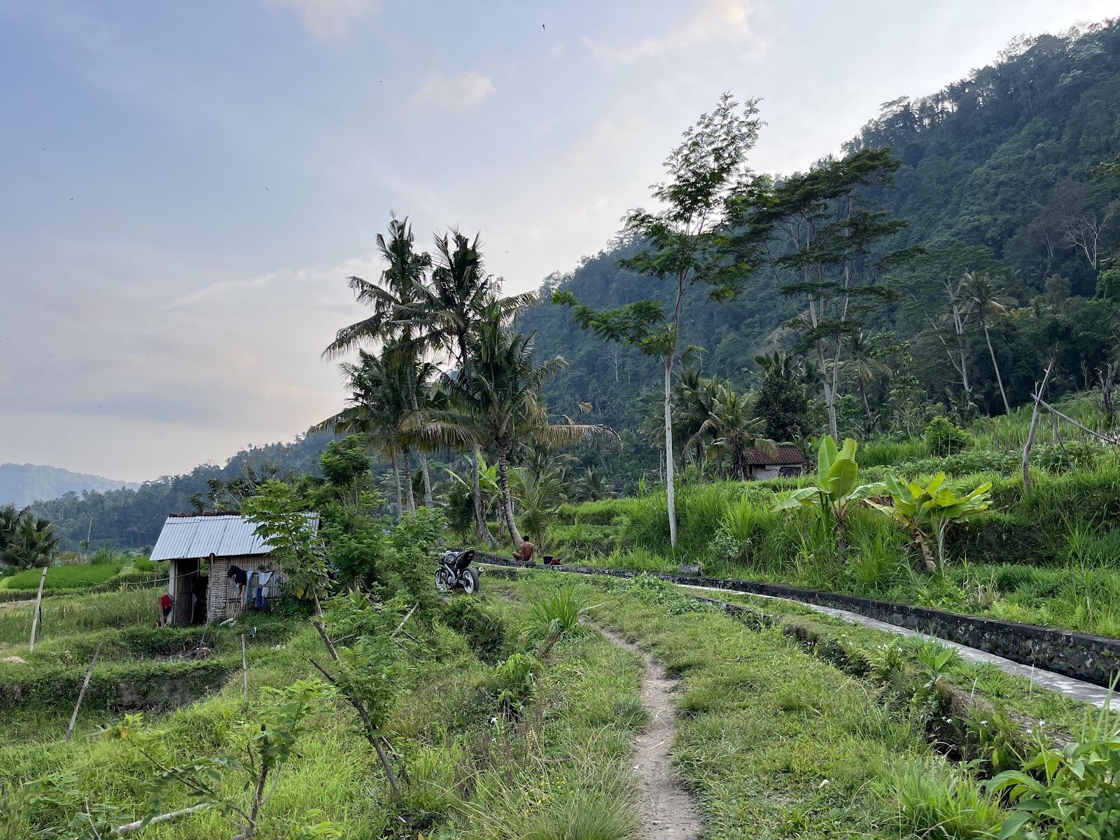 SIDEMEN RICE TERRACE
