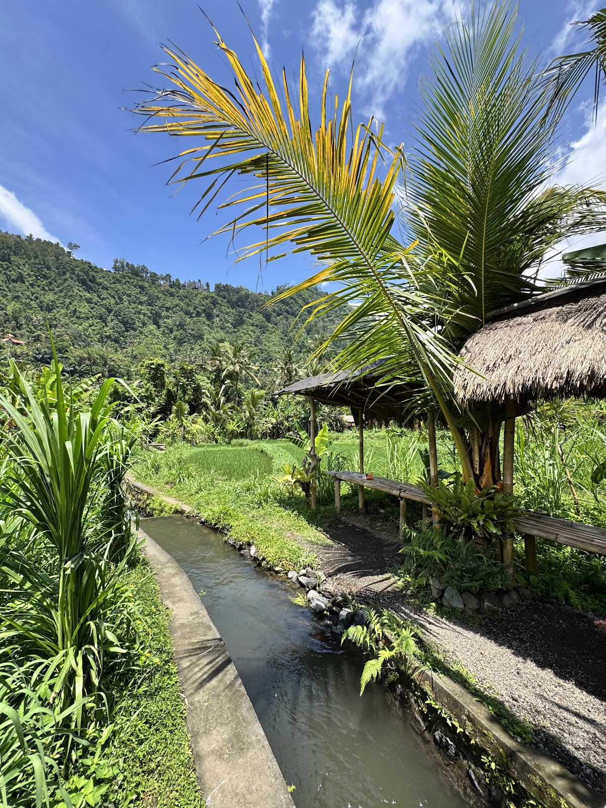 SIDEMEN RICE TERRACE