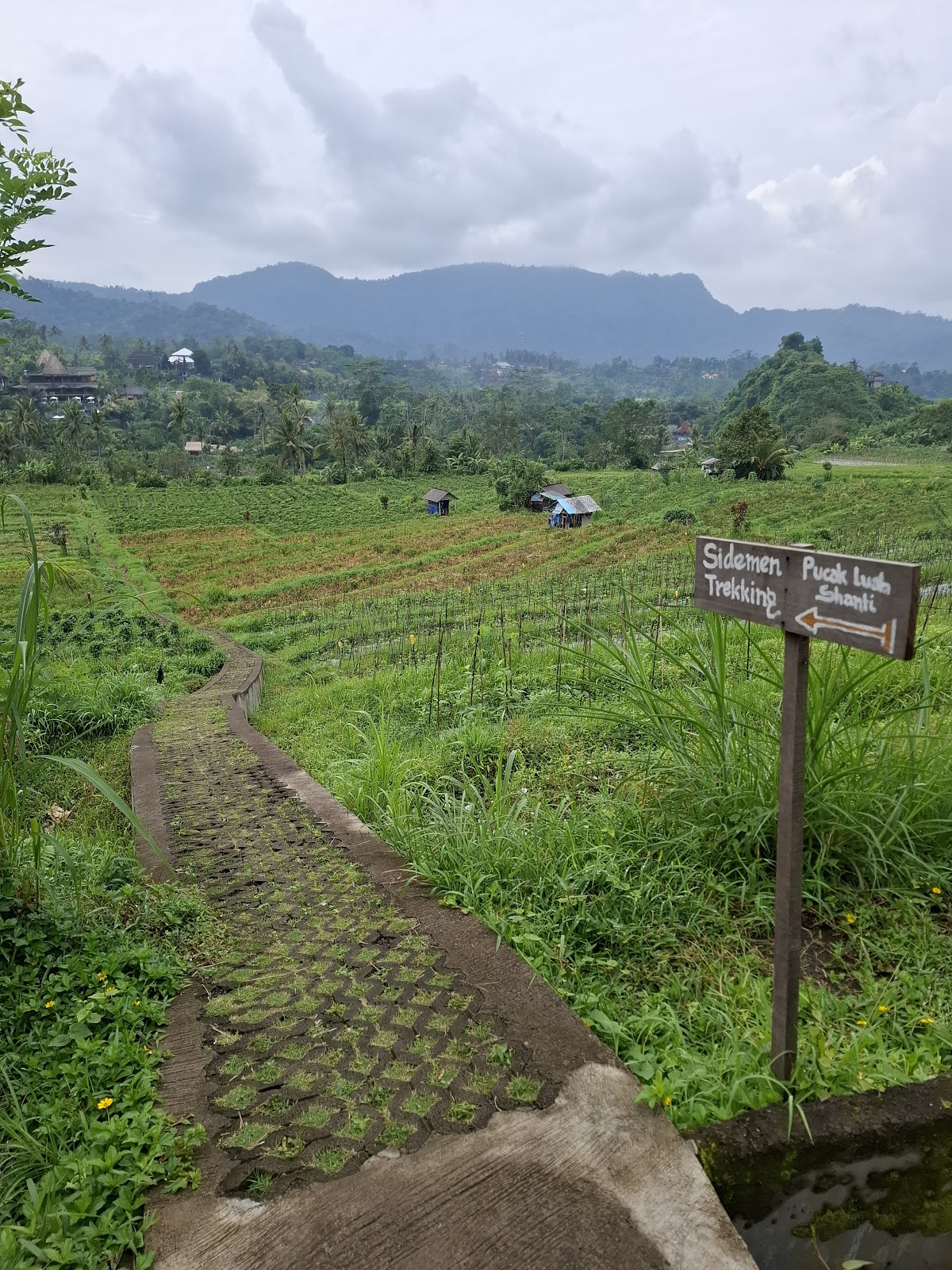 SIDEMEN RICE TERRACE