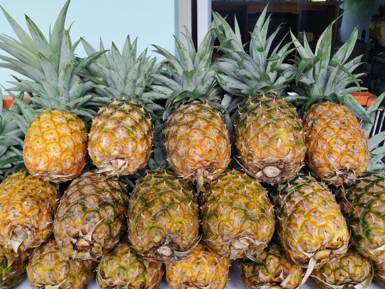 Komang Fruit Shop