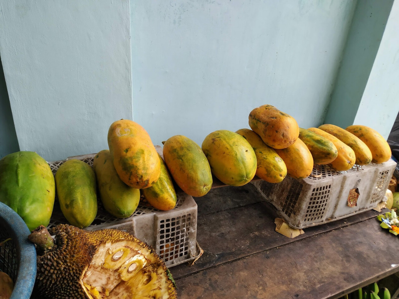 Komang Fruit Shop