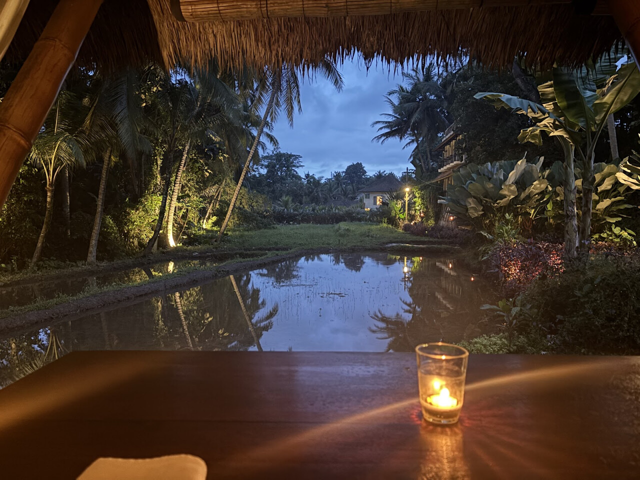 SACRED RICE Restaurant