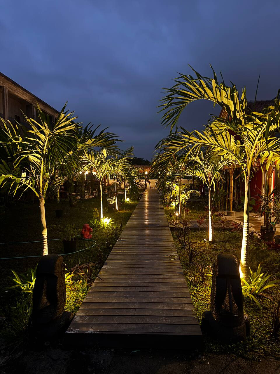 Bali Betula