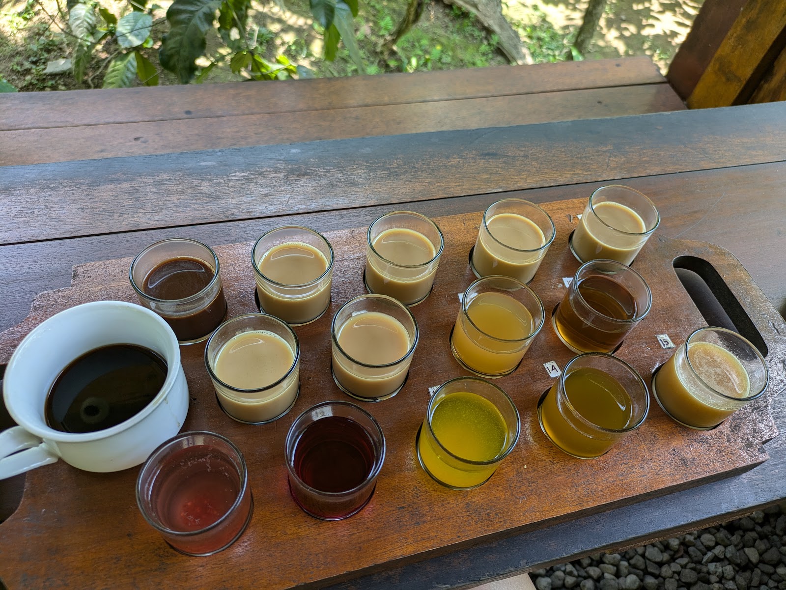 Tunas Bali Luwak Coffee