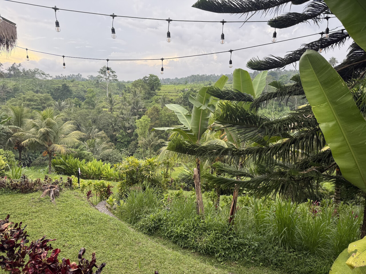 Camaya Terrace Restaurant